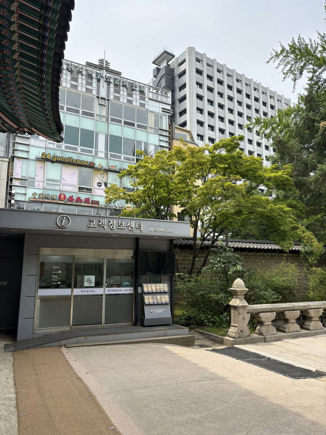 더운여름 시원하게 산책하기 좋은 서울길🙇‍♂️