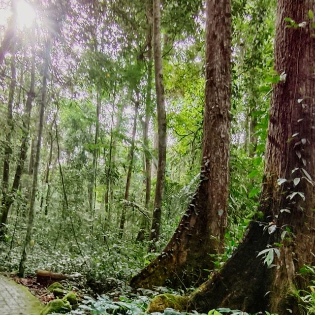 Breath deeply and connect with nature.