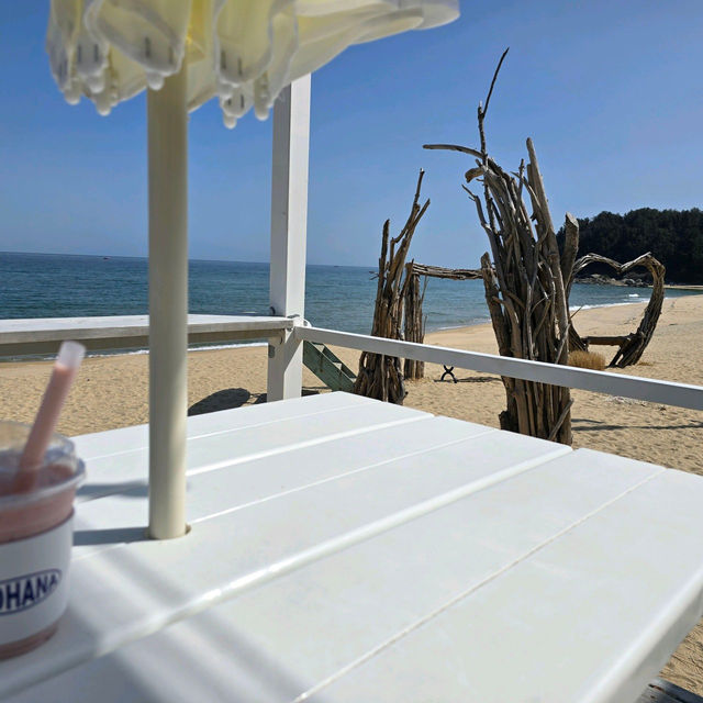 🦈🪼양양 오션뷰 바다뷰 카페ㅣ모하나