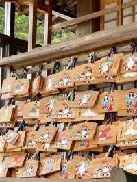 A Relaxing Stroll in Obama City, Fukui 🐚✨