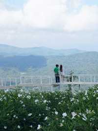 Whispers in White – A Stroll Through Ying Yong Flower Garden