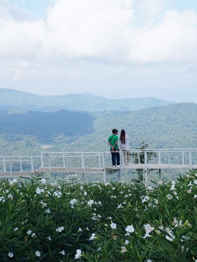 Whispers in White – A Stroll Through Ying Yong Flower Garden