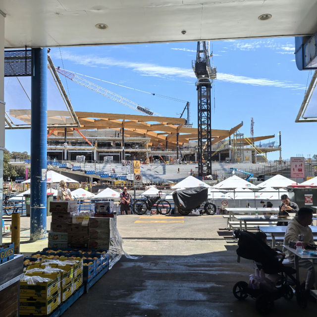 Sydney Seafood Market | Sydney Fish Market 🦞🐟