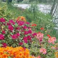 Hever Castle, Kent