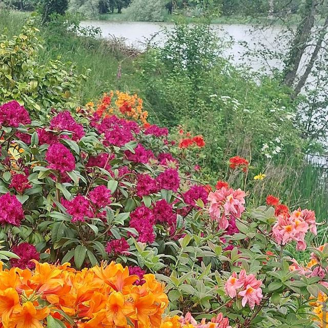 Hever Castle, Kent