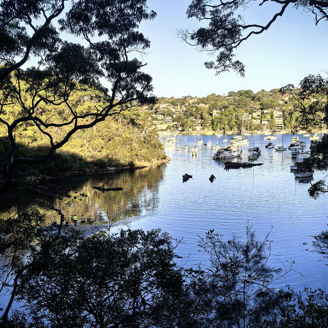 Sydney - Hubla Stairs Hike 🚶‍♂️🌊