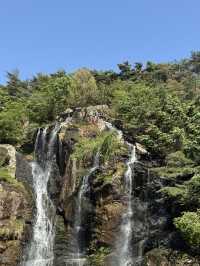 🌿 연희동 감성 산책 데이트, 조용한 하루를 걷다