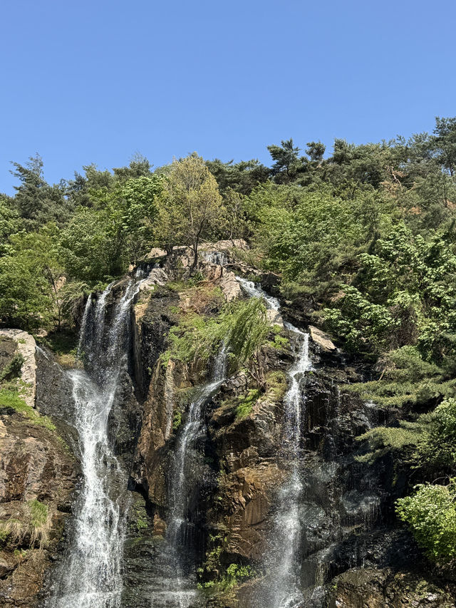 🌿 연희동 감성 산책 데이트, 조용한 하루를 걷다