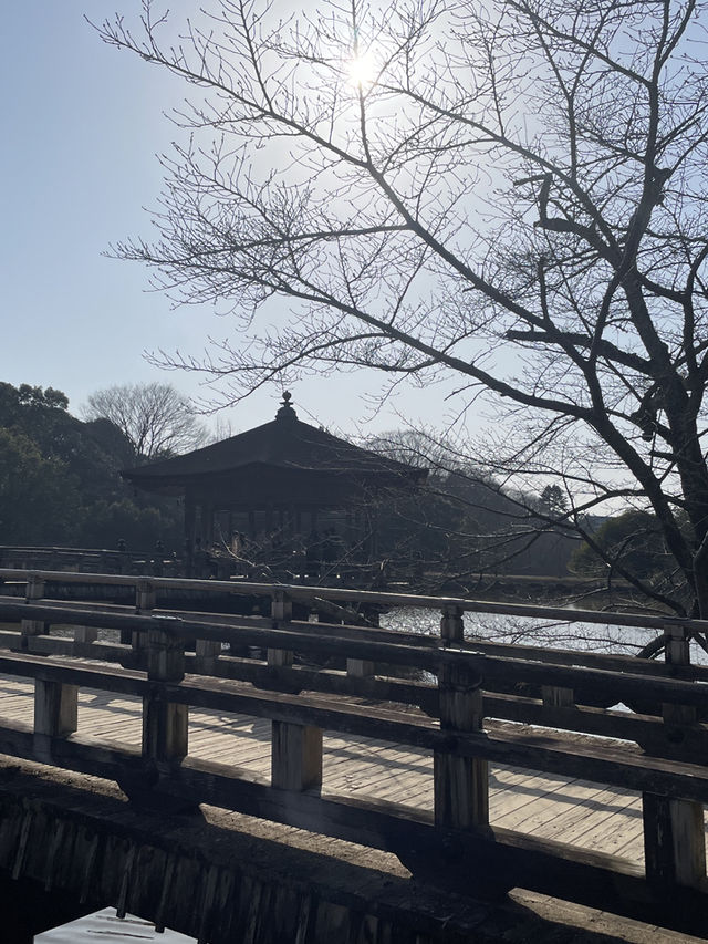 奈良｜春日大社的神鹿與浪漫 細數旗下神秘的壺神神社、拍子神社