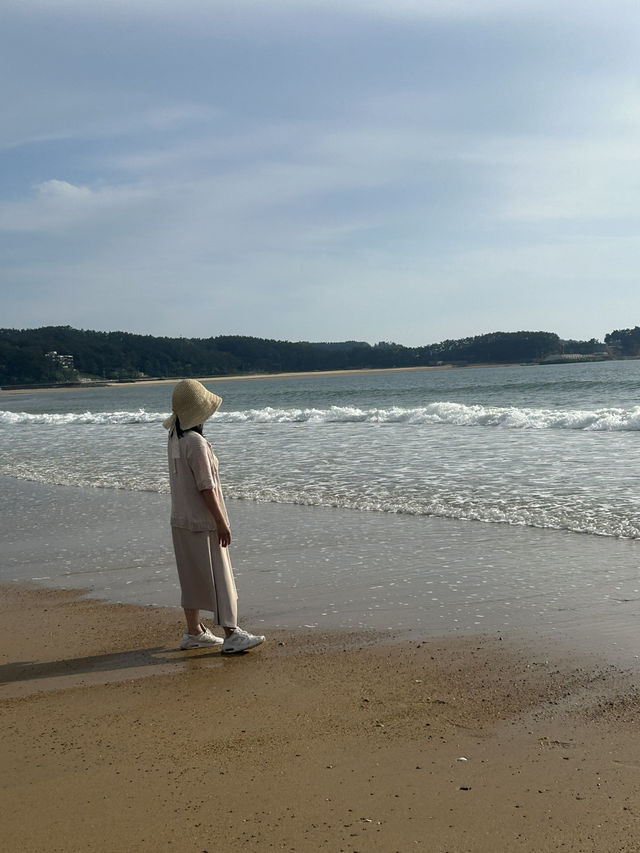 🏖️ 가족과 함께 즐거운 추억을, 천리포해수욕장 