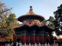The Dragon's Sanctuary: Unveiling the Forbidden City