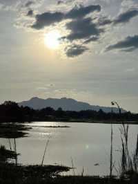 จุดชมพระอาทิตย์ยามเย็นสวยๆ ที่ หนองสมอ ภูผาม่าน