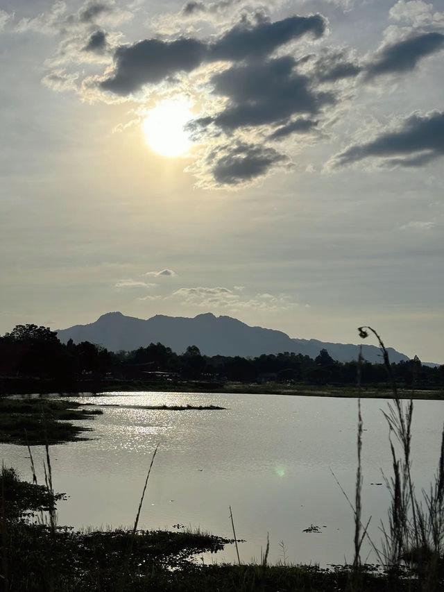 จุดชมพระอาทิตย์ยามเย็นสวยๆ ที่ หนองสมอ ภูผาม่าน