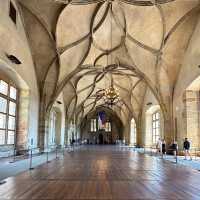 St. Vitus Cathedral in Summer: Prague’s Gothic Masterpiece Under the Sun