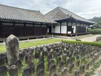 元興寺：在奈良的歷史長河中探索千年古寺的靜謐之美！