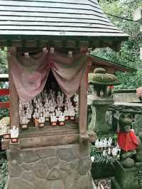 【鎌倉　佐助稲荷神社から源氏山へのライトトレッキング】