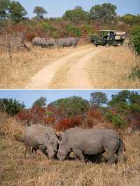 South Africa ซาฟารีแบบ Free VISA!!