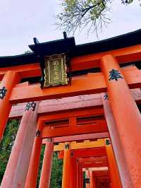 โอซาก้า🇯🇵