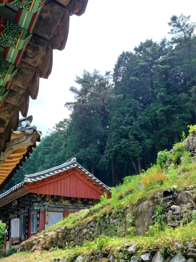 주말이 더욱 빛나는 나들이, 고성 옥천사🌿