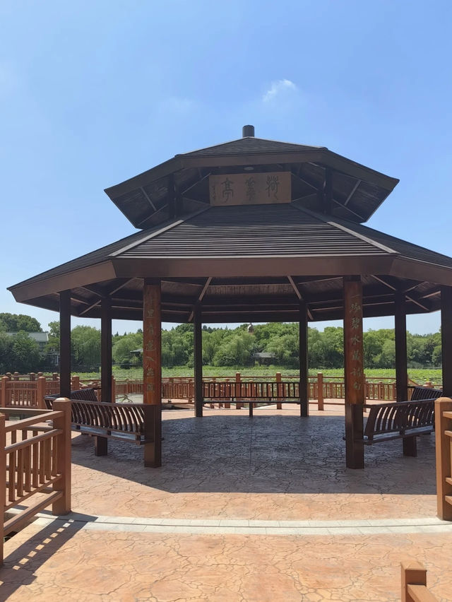A Cherry-Filled Escape on a Budget – Gucun Park, Shanghai