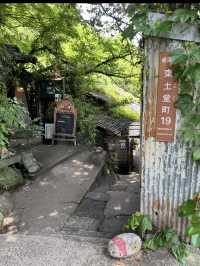 轉角遇到貓-在尾道貓咪小徑與貓貓不期而遇