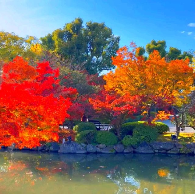 京都
