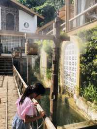 คาเฟ่ใกล้ฉัน ที่ต้องห้าม(พลาด) #ฟ้าหลังฝน