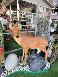 Succulent Paradise in Hong Kong – Budget-Friendly Find