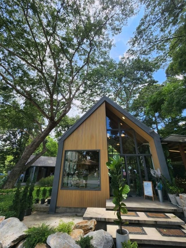 Assana Cafe KhaoYai คาเฟ่สุดชิว ติดริมน้ำตก