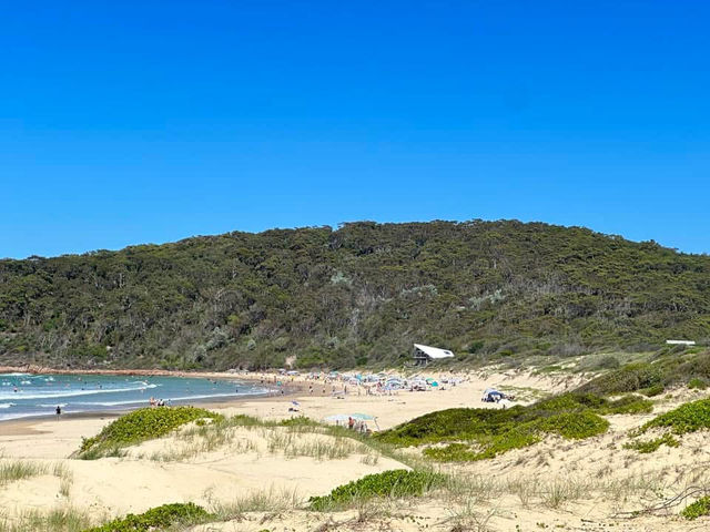 Nelson Bay 三天兩夜自然冒險遊