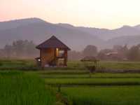 🌾 โรงเรียนชาวนา จ.น่าน 🌾