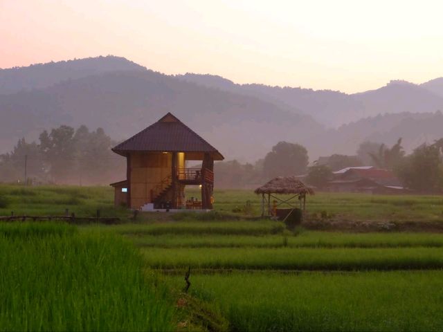 🌾 โรงเรียนชาวนา จ.น่าน 🌾