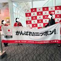 【フランス】 JAL 羽田空港 ⇆ パリ シャルル・ド・ゴール空港