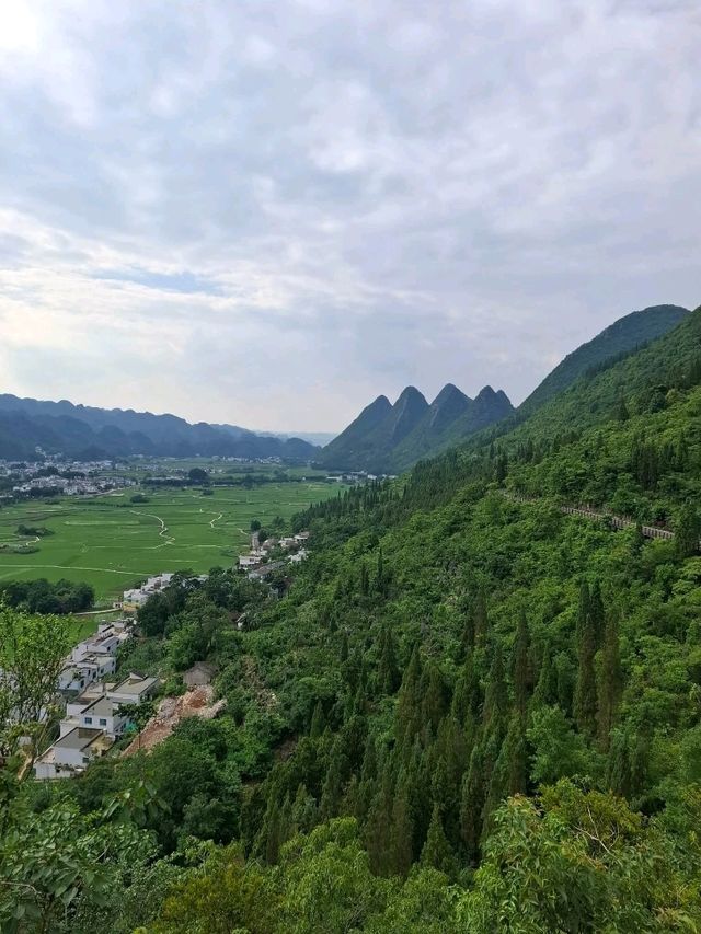 天下山峰何其多  唯有此處峰成林