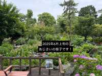 【東京】あじさいスポット駅から3分の多摩川台公園！