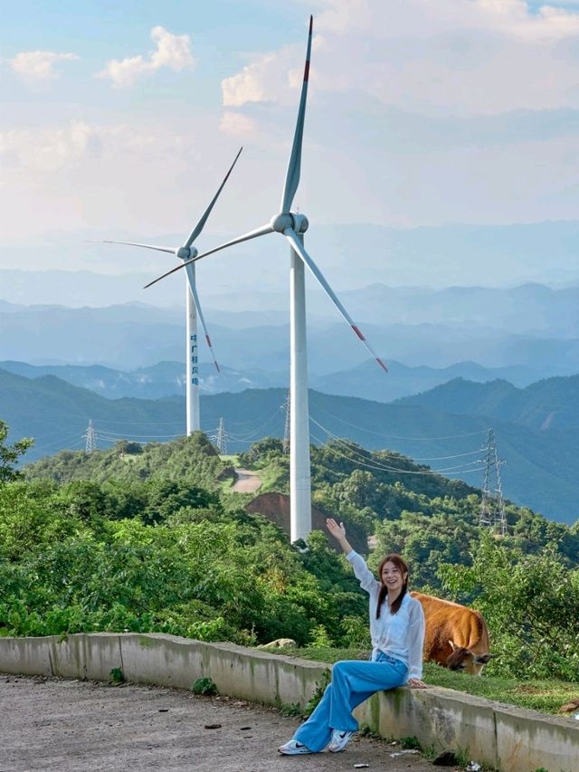 風車山🎐⭐最接近天堂看日出看日落