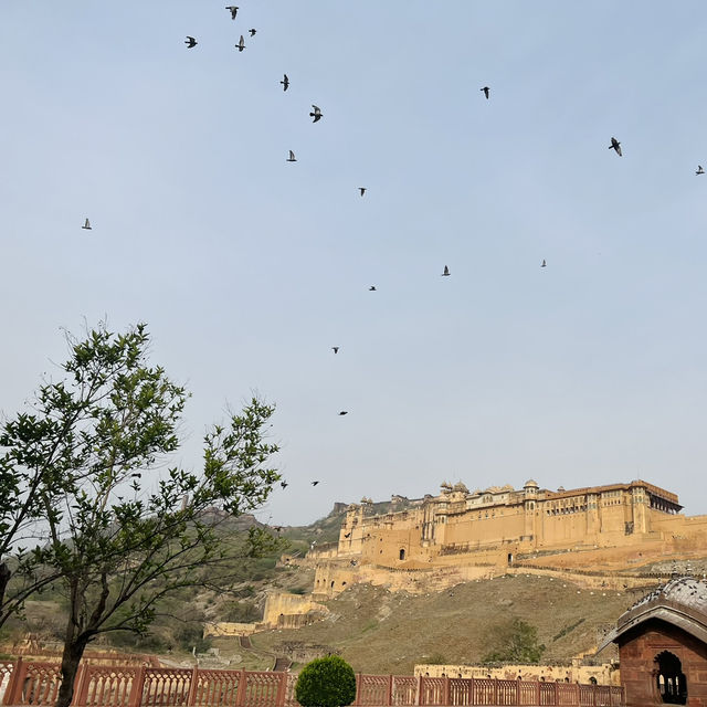 Lost in Time at Amber Fort, Jaipur 