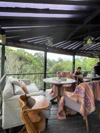 🇮🇩 Zest Ubud in Bali, Indonesia 