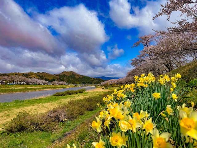 แม่น้ำฮิโนะคิไน (Hinokinai River / 檜木内川) 