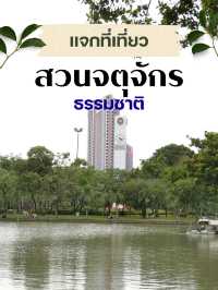 สวนจตุจักร – เดินเล่น เดินช้อป เดินเพลินไม่มีเบื่อ