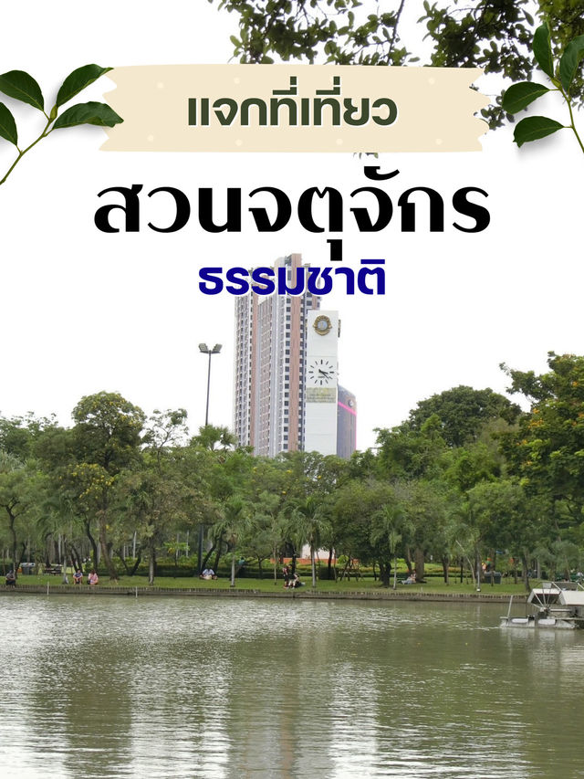 สวนจตุจักร – เดินเล่น เดินช้อป เดินเพลินไม่มีเบื่อ