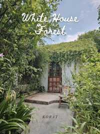 White House Forest Korat 🏡