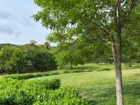 【里山で深呼吸🌿】かなたけの里公園で自然とふれあう休日を