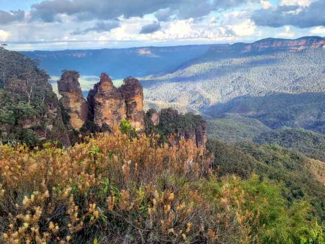 🏞️【青い霧に包まれる絶景】ブルー・マウンテンズで深呼吸する旅