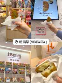 新潟のおすすめスポット紹介❗️