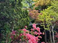 圓山公園登頂