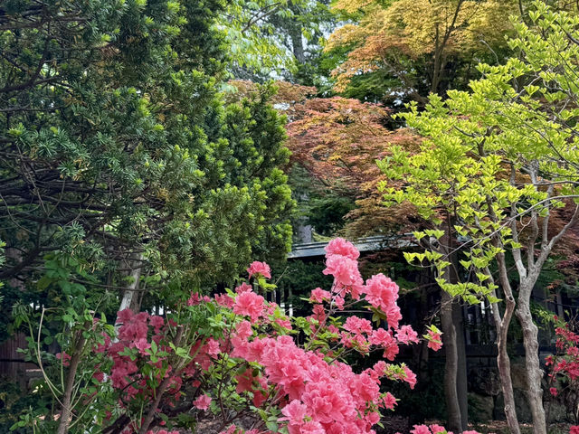 圓山公園登頂