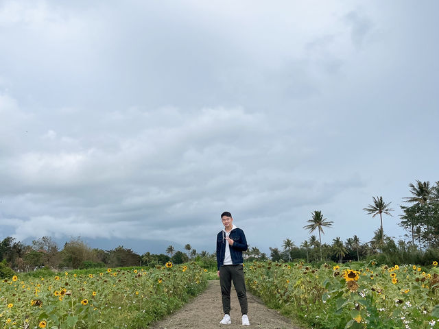 花蓮漫遊：山海間的咖啡香與壯麗景致！