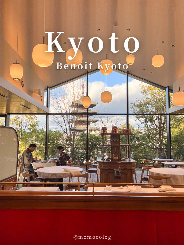 京都 おすすめレストラン3選 ☕🍖