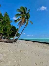 Onuk Island: A Hidden Pearl of Palawan